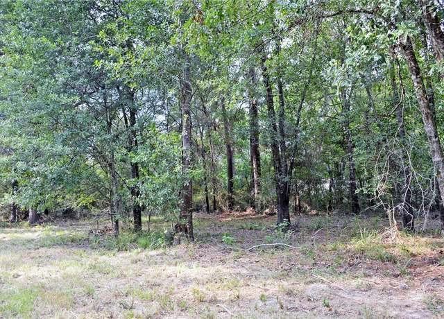 Property at TBD Tract 3 Deer Ridge Rd, Bedias, TX 77831