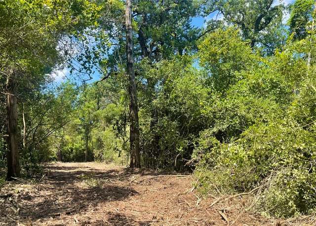 Property at TBD Mt Pleasant Rd (+/-5.75 Acres), Franklin, TX 77856