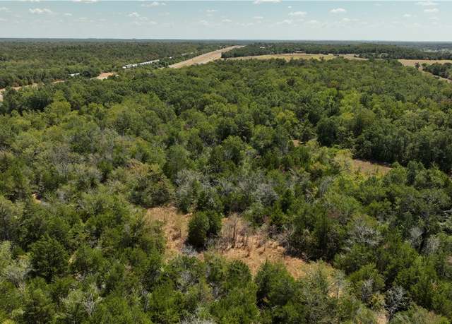 Property at TBD Lot 1 Red Hill Rd, Calvert, TX 77859