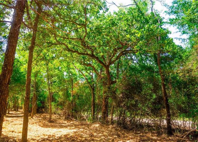 Property at TBD Lot 1 Red Hill Rd, Calvert, TX 77859