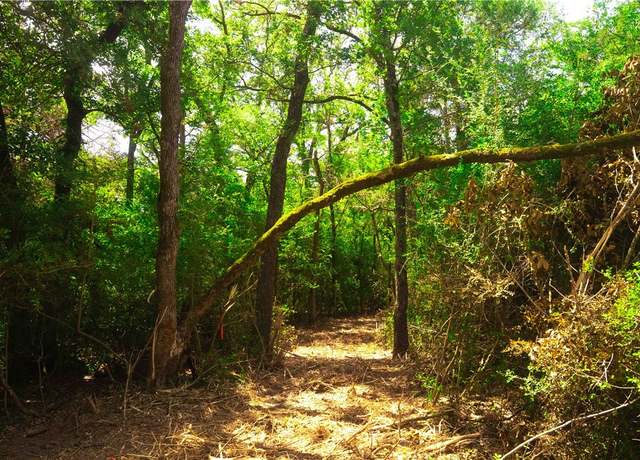 Property at TBD Lot 20 Red Hill Road CountyRoad, Calvert, TX 77859