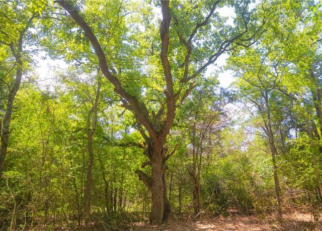 Property at TBD Lot 2 Red Hill Rd, Calvert, TX 77859