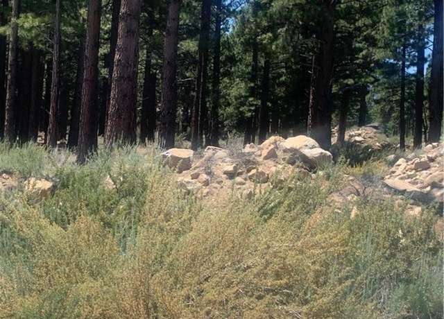 Property at 16485 Bonnie Ln, Town Out Of Area, NV 89511