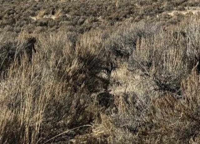 Property at 1st St, Spring Creek, NV 89815