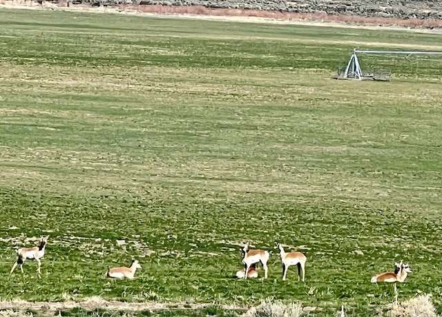 Property at Tdb- 20 Acre Parcel, Montello, NV 89830