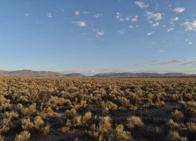 Property at Sec 31 Twp 37n Rge 57e Mdb&m NV, Ryndon, NV 89801
