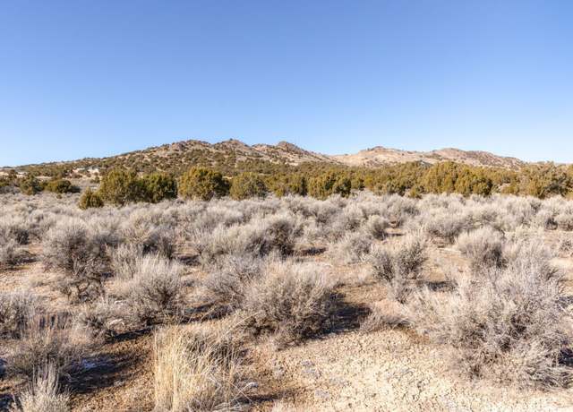 Property at TBD Wong Way, Spring Creek, NV 89815