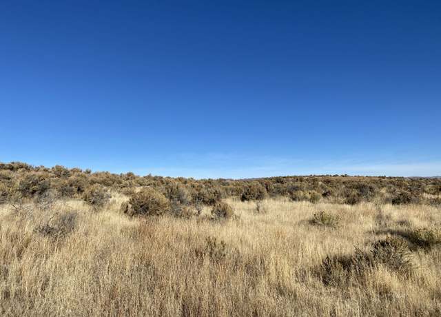 Property at 017050001 Harding Ave/ 17th St Ave, Ryndon, NV 89801
