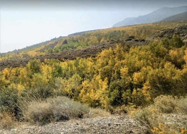 Property at TBD Ryndon, Elko, NV 89801