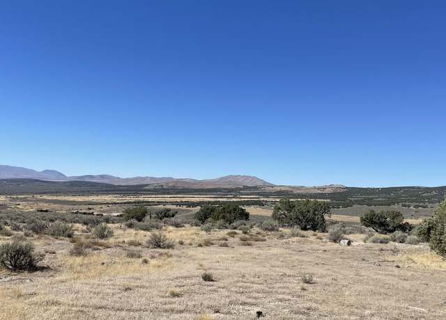 Property at TBD Emigrant Ct, Spring Creek, NV 89815