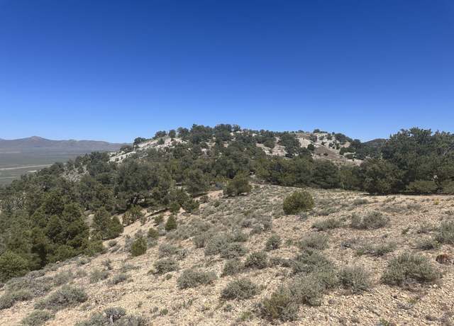 Property at 009-37g-002, Montello, NV 89830