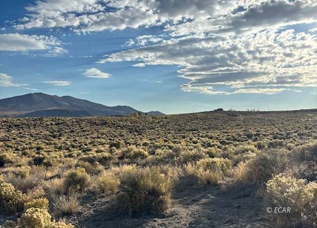 Property at TBD Johnson Ave, Ryndon, NV 89801