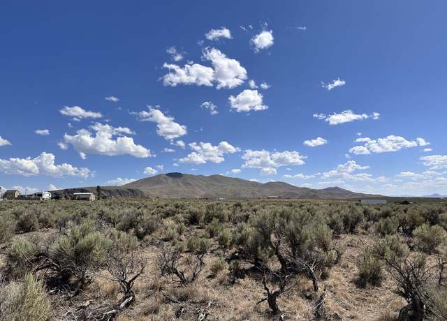Property at 8th St, Ryndon, NV 89801