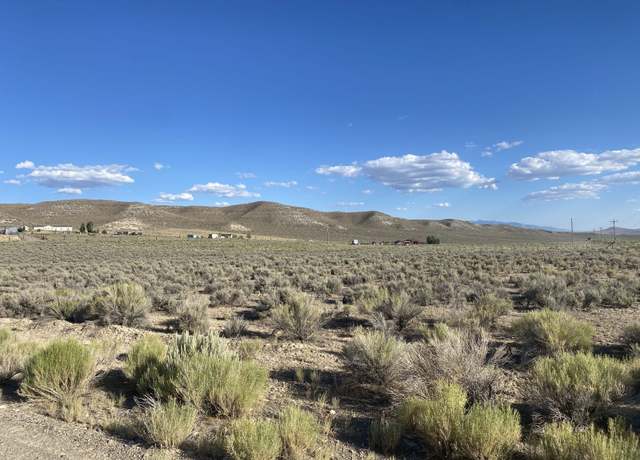 Property at 072006013 Walnut St, Ryndon, NV 89801