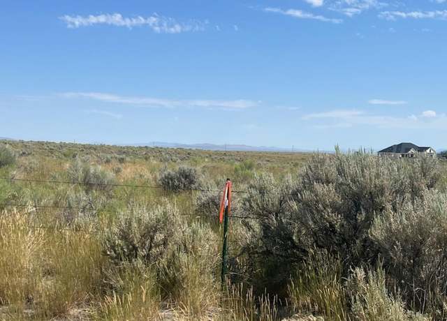 Property at 12 Hog Tommy Rd, Spring Creek, NV 89815