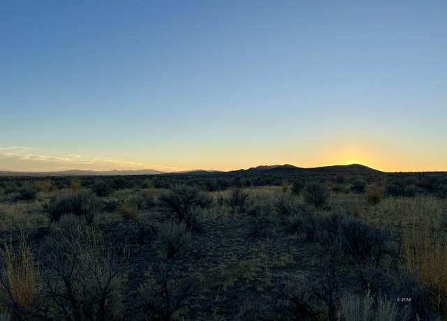 Property at Diamond Ave, Spring Creek, NV 89815