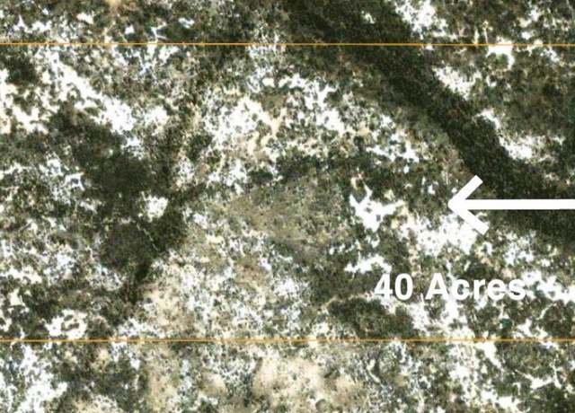 Property at T29N,R48E Sec. 21, Crescent Valley, NV 89821