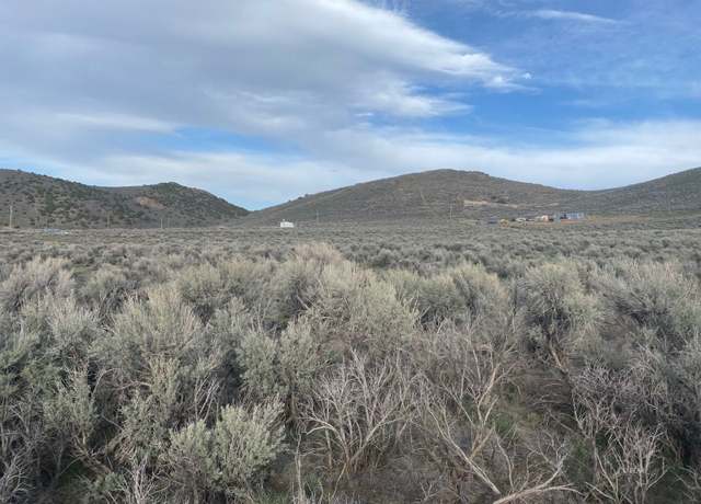 Property at 7821 Pierce Ave, Ryndon, NV 89801