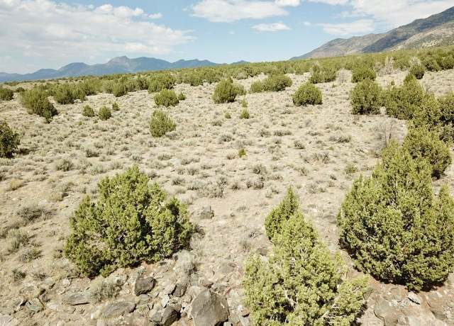 Property at 10 Acres, Montello, NV 89830