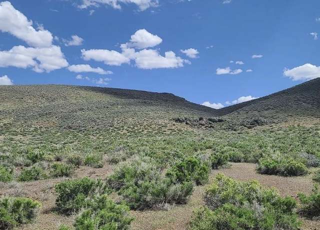 Property at T29n,r48e Sec. 1 Ne4ne4se4, Crescent Valley, NV 89821
