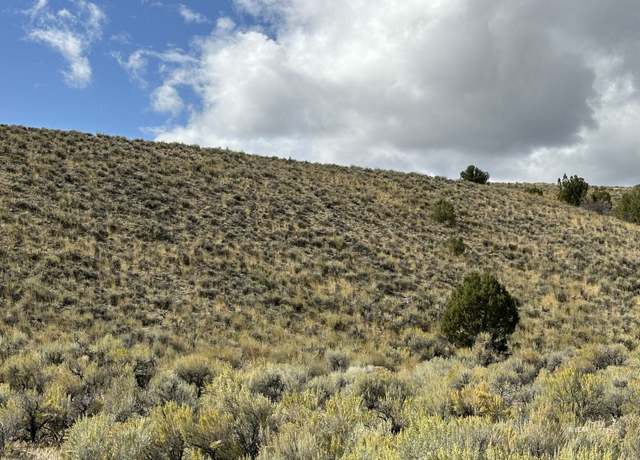 Property at 0 Sec 9 Twp 39n Rge 68e Mdb&m NV, Montello, NV 89830