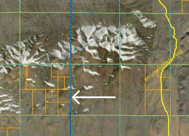 Property at T30n,r49e Sec. 25 Ne4se4, Crescent Valley, NV 89821