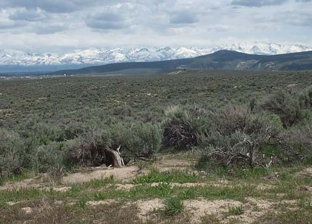 Property at 2+ acres Goldrush Dr, Elko, NV 89801