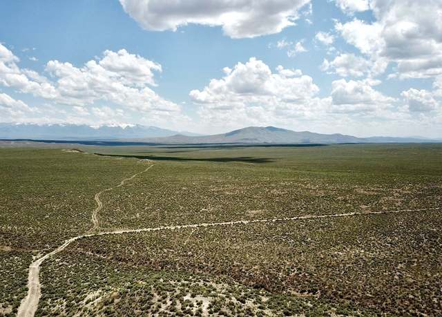 Property at 6100 Maple Ave, Ryndon, NV 89801