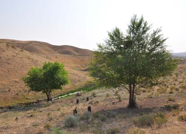 Property at 006-10a-001 Sec 12 Twn 35n Rge #55e, Elko, NV 89801