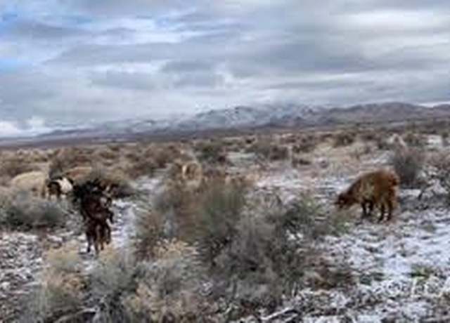 Property at Tbd Phyllis Ln, Winnemucca, NV 89414