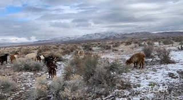 Photo of Tbd Phyllis Ln, Winnemucca, NV 89414