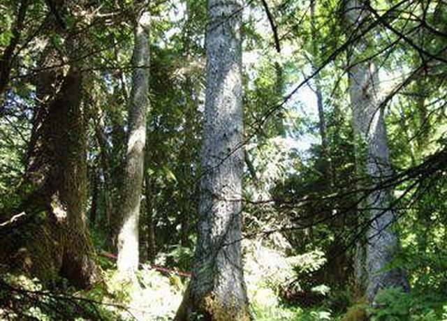 Property at Lots 14&15 Birch Birch, Cannon Beach, OR 97110