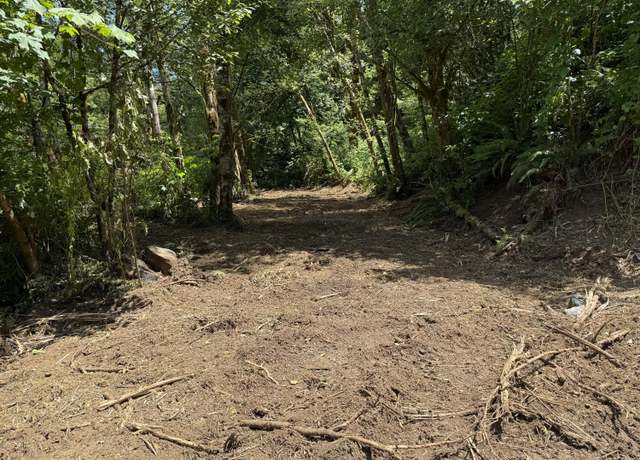 Property at TL# 02100 Wilson River Wilson River, Tillamook, OR 97141