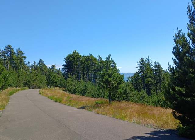 Property at Manzanita Manzanita Unit 2 TaxLots, Oceanside, OR 97134