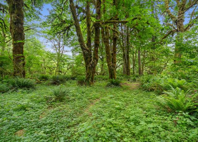 Property at TL#01000 Trask River Rd W, OR 97141
