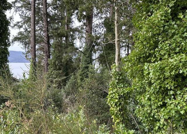 Property at TL#04003 11th 11th, Bay City, OR 97107