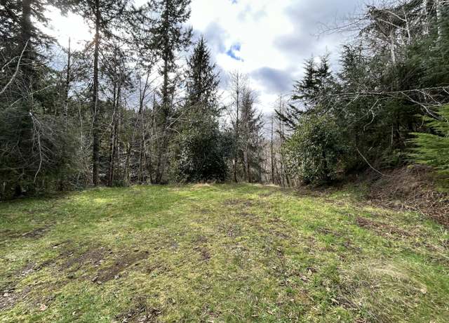 Property at TL#201 Little Nestucca River Little Nestucca River, Cloverdale, OR 97112