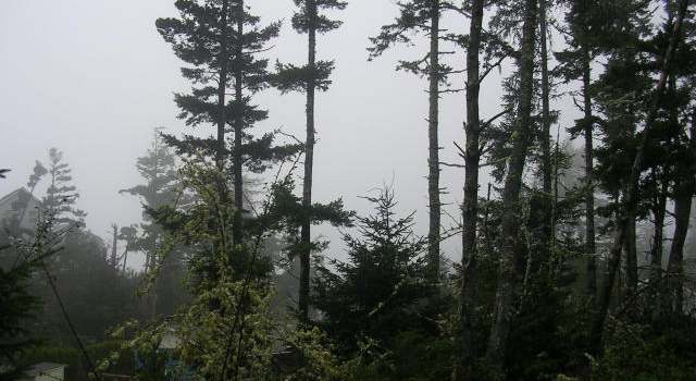 Photo of V/L Sea Bass Ln, Oceanside, OR 97134