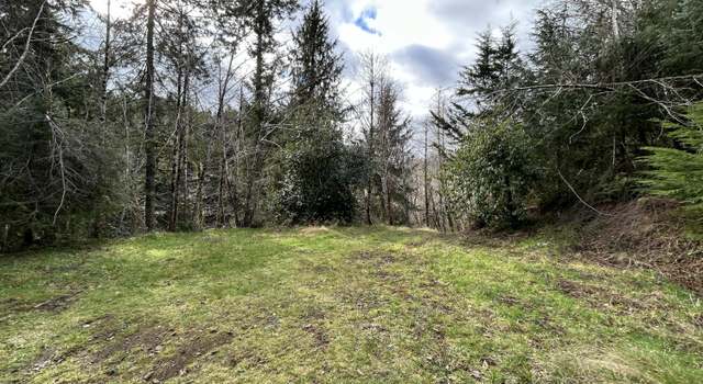 Photo of TL#201 Little Nestucca River Hwy, OR 97112