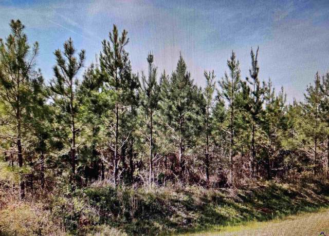 Property at 001 Old Vienna Rd, Elko, GA 31025