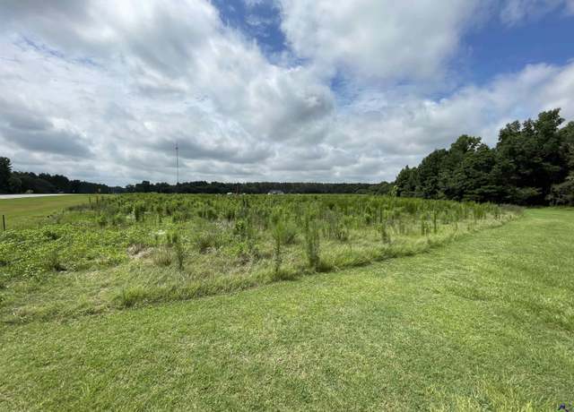 Property at Lot 3 N GA Hwy 87, Cochran, GA 31014