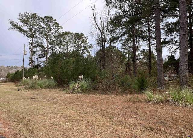 Property at 109 Persimmon Dr, Kathleen, GA 31047