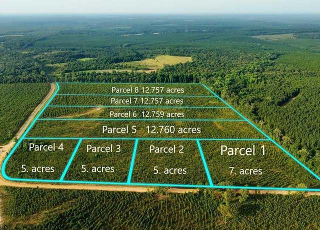 Property at Parcel 3 Whipporwill Rd, Reynolds, GA 31076