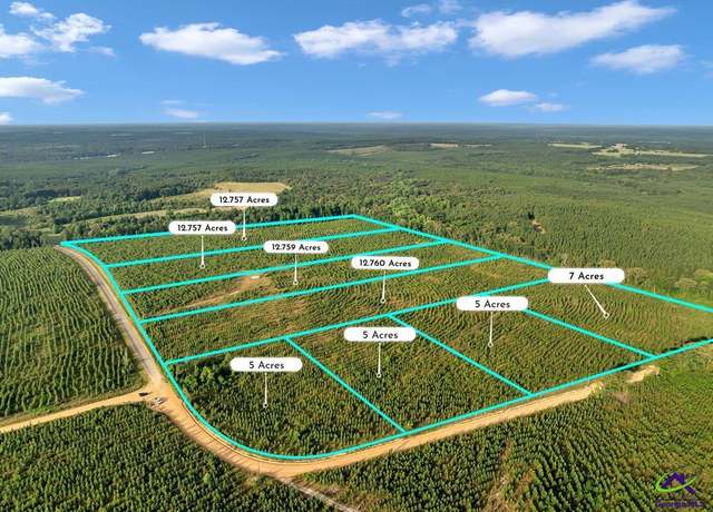 Property at Parcel 5 Carl Rodgers Rd, Reynolds, GA 31076