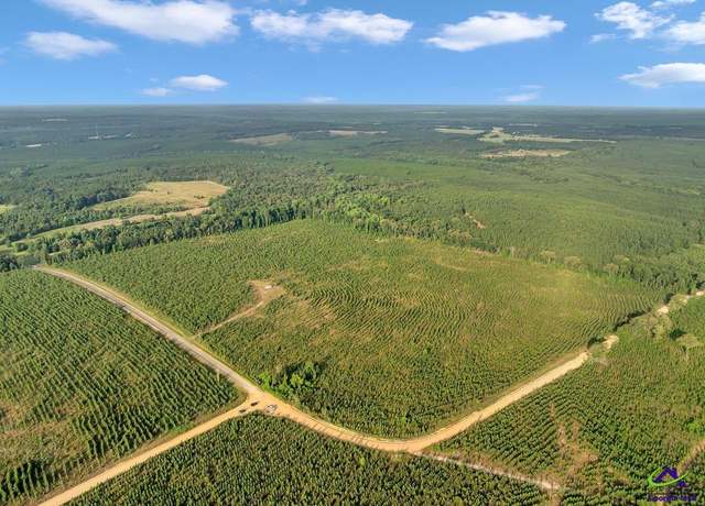Property at Parcel 6 Carl Rodgers Rd, Reynolds, GA 31076