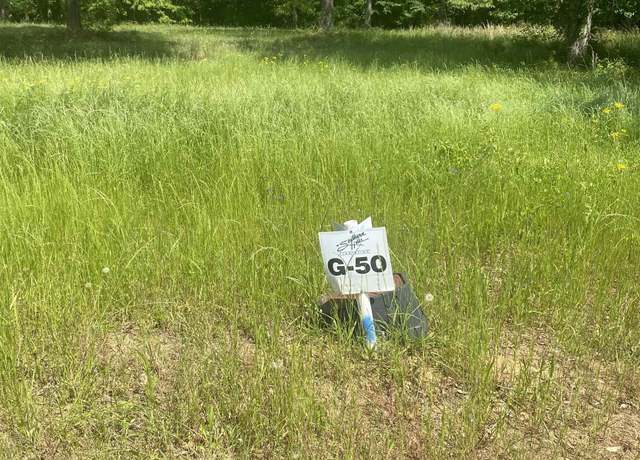 Property at Lot 50 River Ridge Dr, Hawkinsville, GA 31036