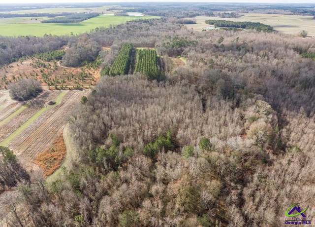 Property at 0 Scott Rd, Elko, GA 31025