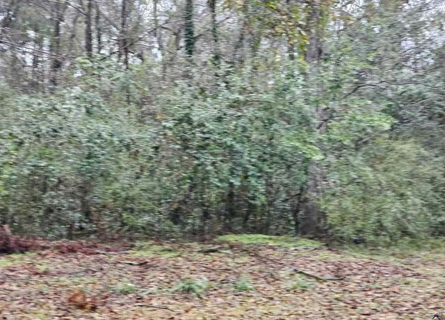 Property at 0 Flanders St, Dublin, GA 31021