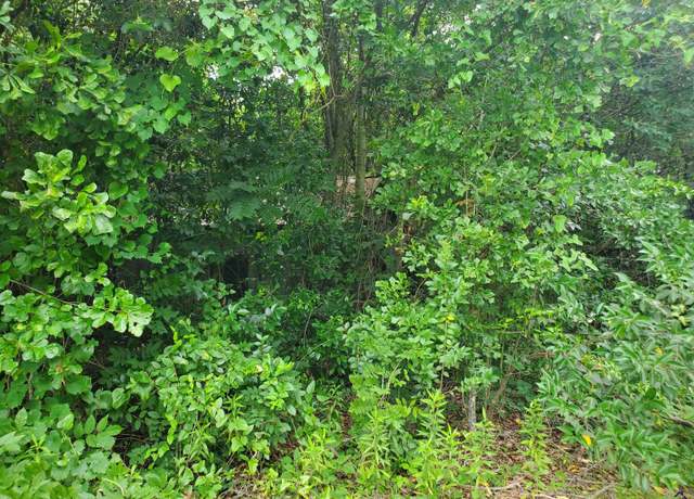 Property at Highway 127/farr Road Rd, Kathleen, GA 31047