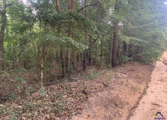 Property at 0 Bickley Rd, Butler, GA 31006